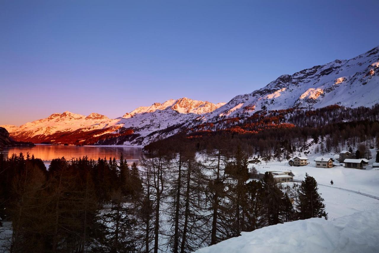 Maloja Palace Residence Engadin-St Moritz Co2-Neutral المظهر الخارجي الصورة
