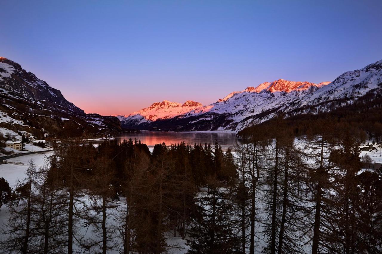Maloja Palace Residence Engadin-St Moritz Co2-Neutral المظهر الخارجي الصورة